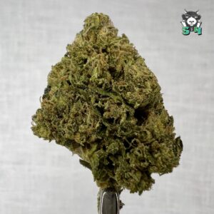 Super Mixed Winners - 74G12