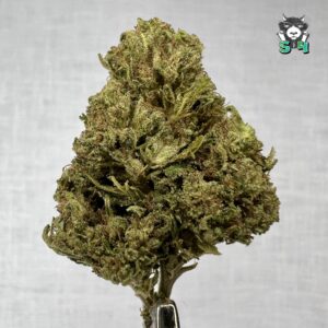 Galactic Glue - 68T12