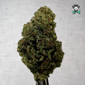 Lemon Diesel - 16M15