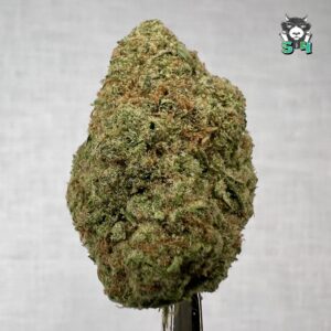 Blueberry Barze - 14M15