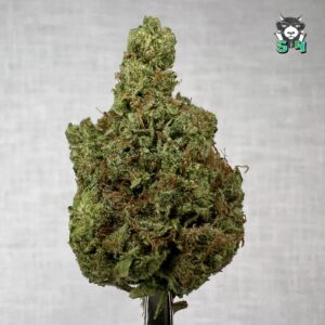 Black Garlic Gelato - 85M15