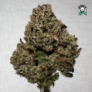 Grape Gas Purple - 94J1