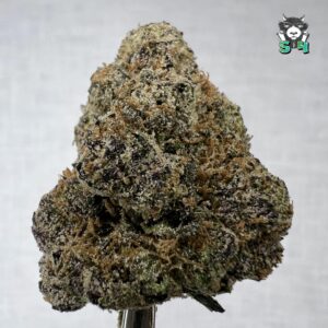 Candy Lemon Cherry Gelato - 14D14