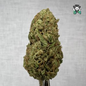 Mule Fuel - 86D10