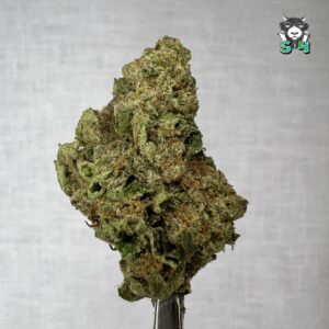 Cadillac Rainbows - 29D10