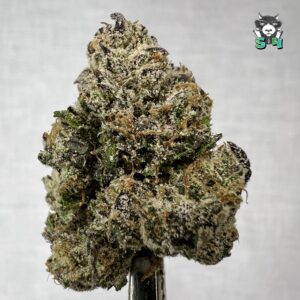 Super Sugar Candies - 66Q9