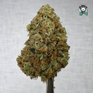 Super Lemon Haze - 50C14