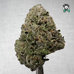 Grandy Candy - 89J96