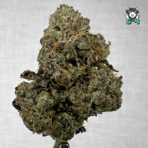 Lemon Cherry Gelato - 75F2