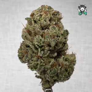 Kosher Tangie - 29X2