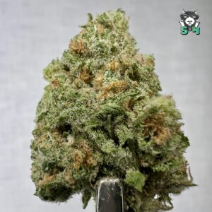 Blue Dream - 23D6