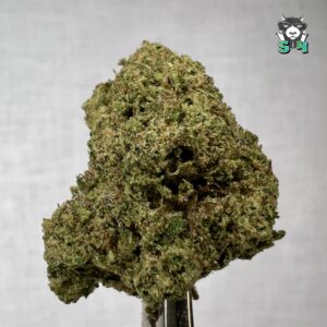 Candy Gelato - 27D10