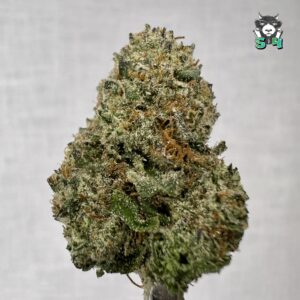 Candy Mendo Munchies - 62D83