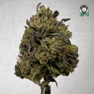 Holy Grail LCG - 40T12