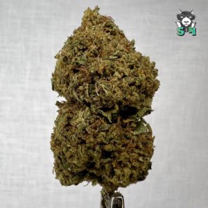 Mixed Winner Browns - 99Y3