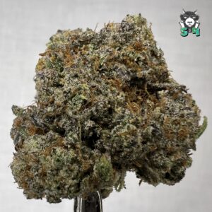 Lemon Blizzard - 54I8