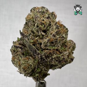 Ice Cream Cake - 29M15