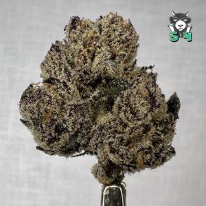 Space Candy Blue - 52N21