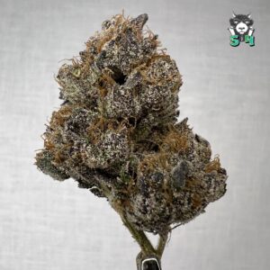 Original Runtz - 36D5