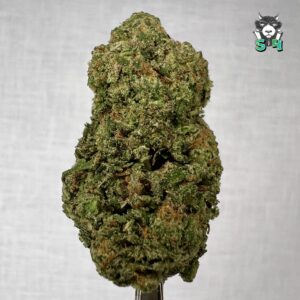 Lemon Lime Haze - 92M15