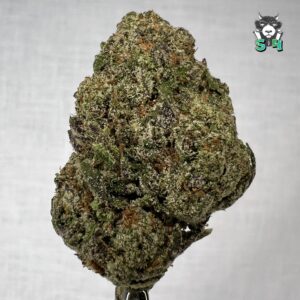 Black Truffle - 79M15