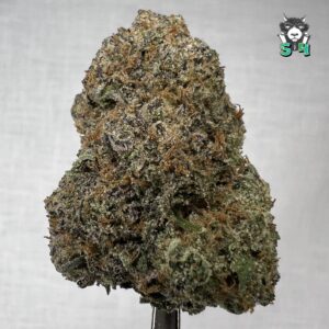 Lemon Cherry Gelato - 42F2