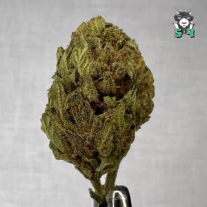 Mixed Winners - 19Y3