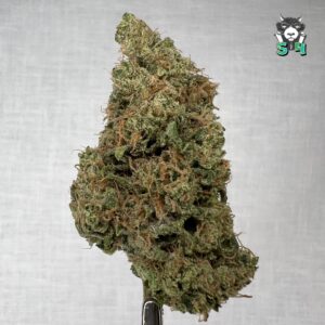 Sour Diesel - 56Q9