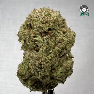 Gorilla Glue - 60S10