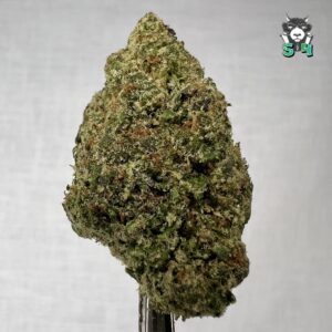 Jealousy Runtz - 86M15