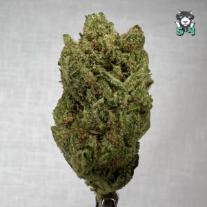 Super Silver Haze - 15M15