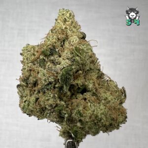 Sour Animal Cookies - 76C14