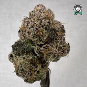 Peach Cobbler Runtz - 95R28