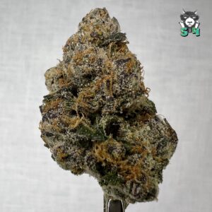 Bazooka Gushers - 86B17