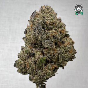 Grape Gas - 25D77
