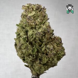 Blue Skunk - 21D10