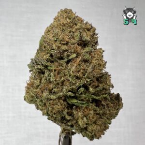 Super Sonic GMO - 12D10