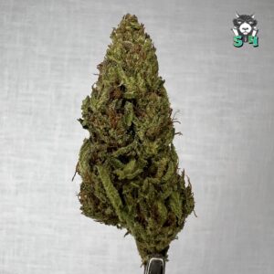 Magic Wand - 30T23
