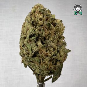 G Runtz - 38G1