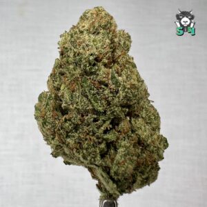 Jack Herer - 90M15
