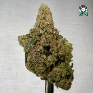 Blueberry Bars - 38M15