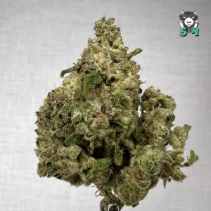 Sour Runtz - 24S8