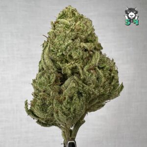 Gorilla Glue - 89F2