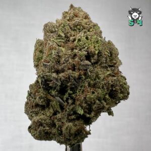 Grape Stomper - 27T4