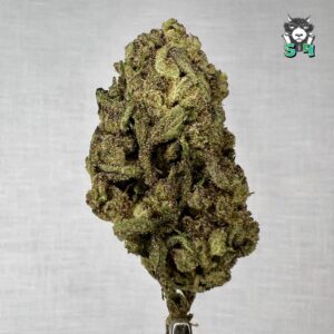 Melon - 68Q2