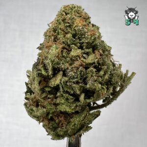 Zoap - 83M15