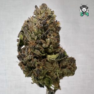 Purple Kush - 59R6