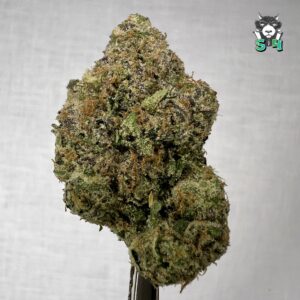 Zlurpie - 96D22