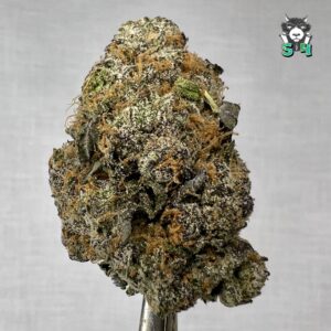 Pink Runtz - 85D14