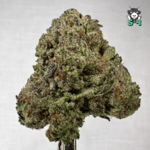 Nitro Cookies - 87T5